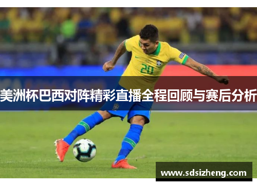 美洲杯巴西对阵精彩直播全程回顾与赛后分析