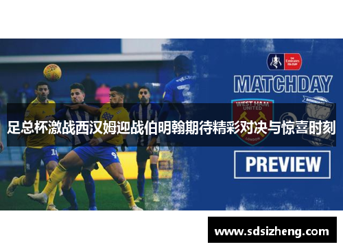 足总杯激战西汉姆迎战伯明翰期待精彩对决与惊喜时刻